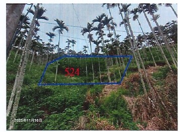 照片一