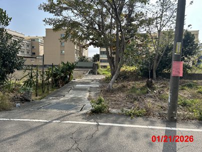 照片三