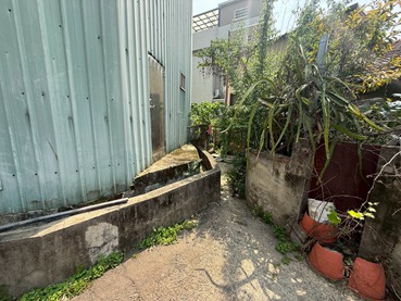 照片三