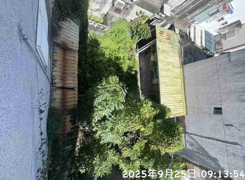照片三