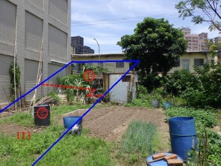照片三