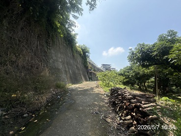 照片三