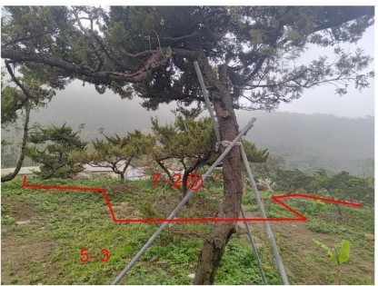 照片三