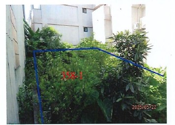 照片一