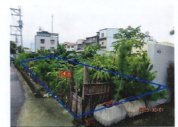 照片一