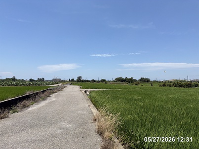 照片三