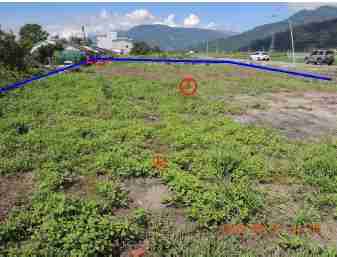 照片一