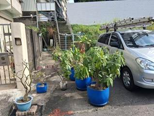 照片二
