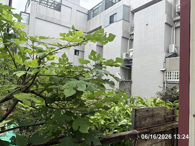 照片二
