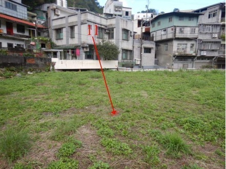 照片三