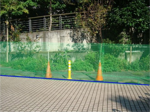 照片二