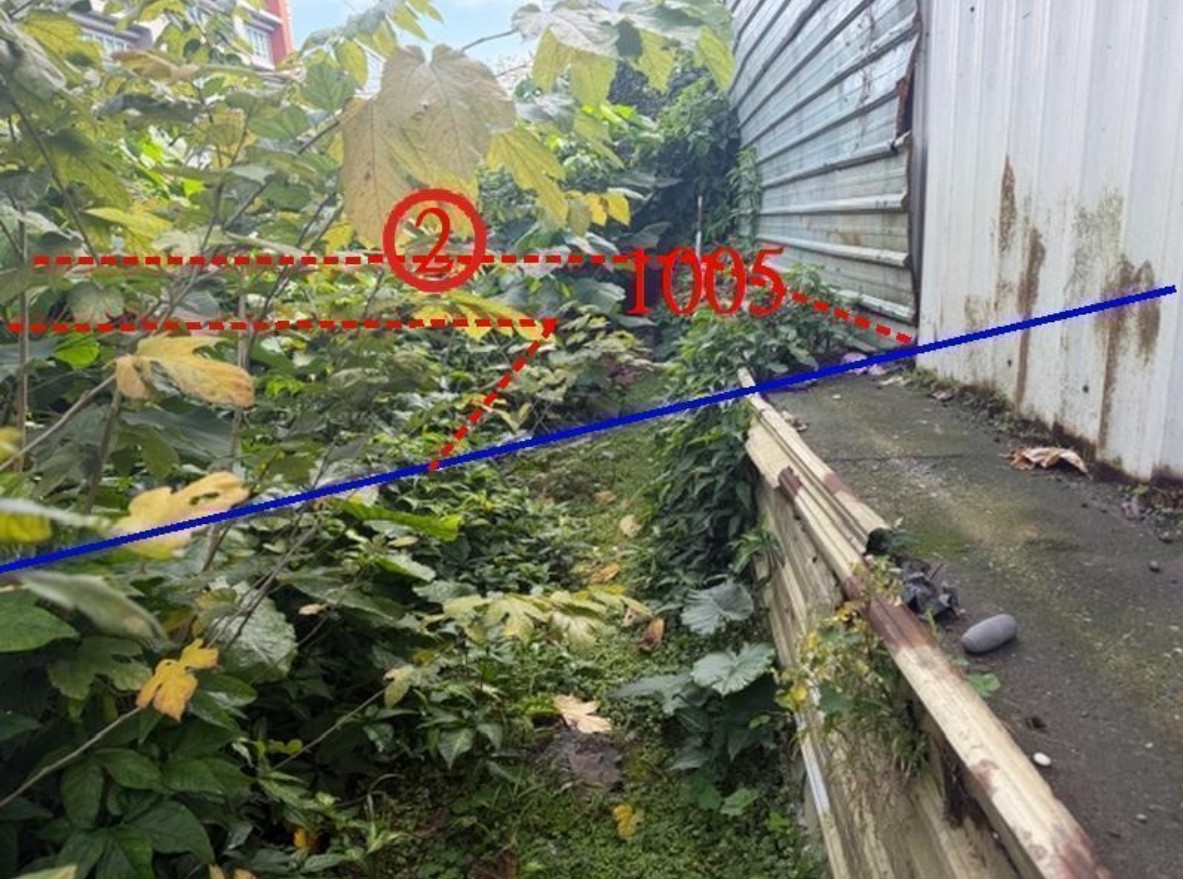 照片二