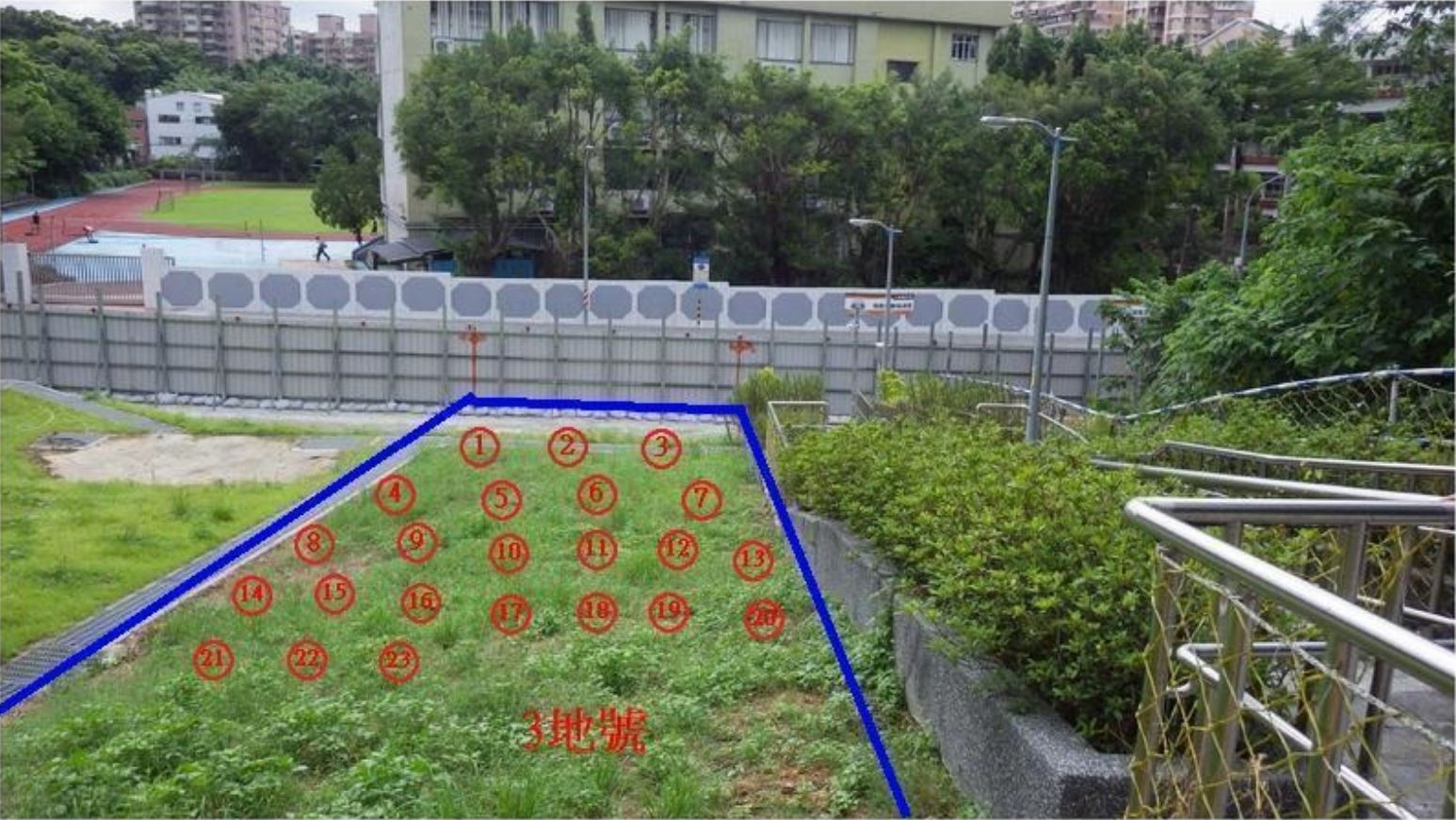 照片三