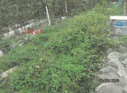 照片三