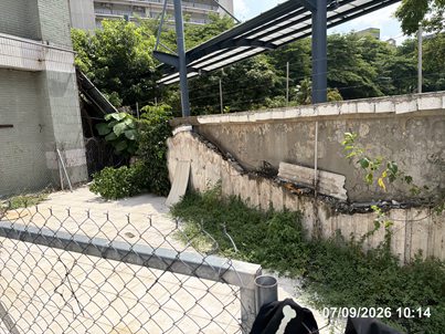 照片二