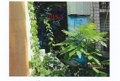 照片一