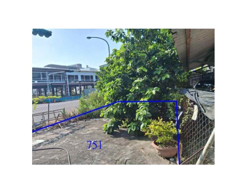 照片二