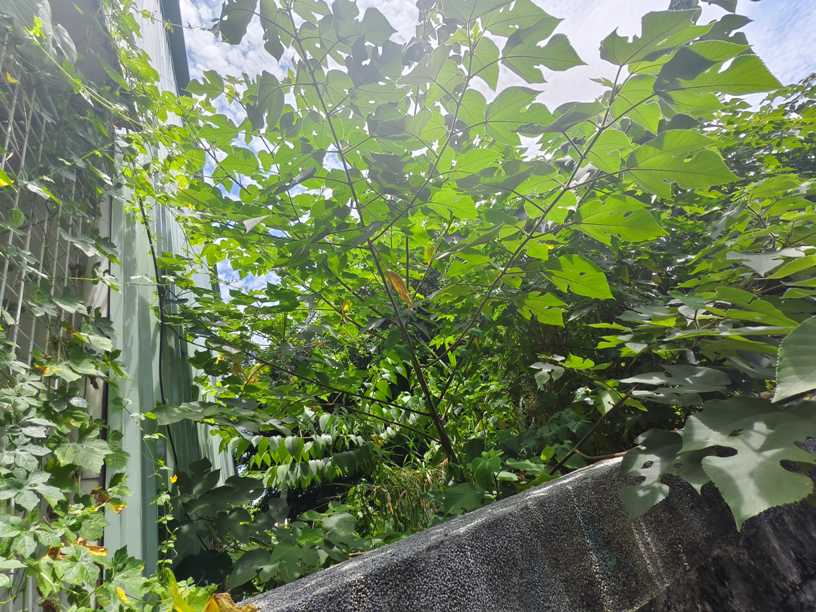 照片二