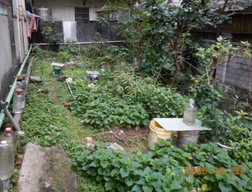 照片二