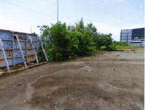 照片二