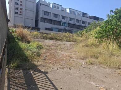 照片三