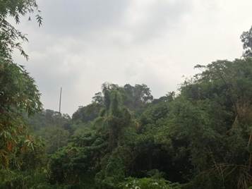 照片三