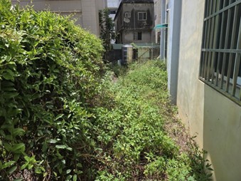 照片二