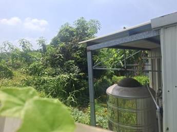 照片一