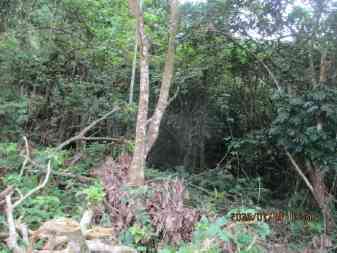 照片二