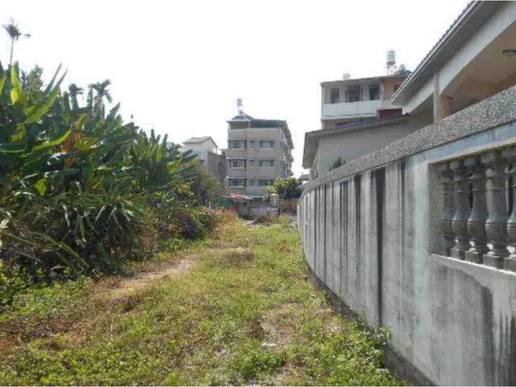 照片二