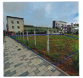 照片一