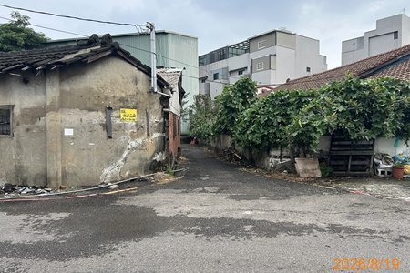 照片三
