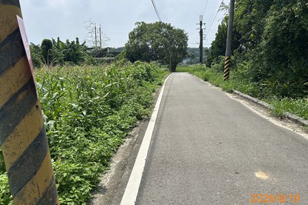 照片三