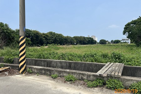 照片二
