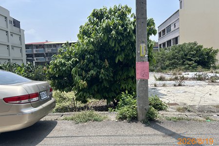照片三
