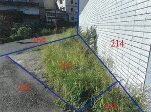 照片一