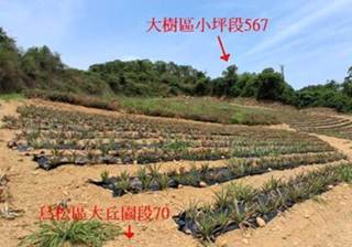 照片三
