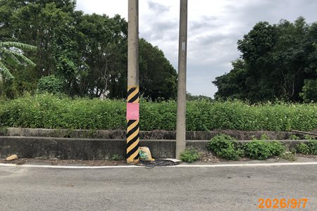 照片二