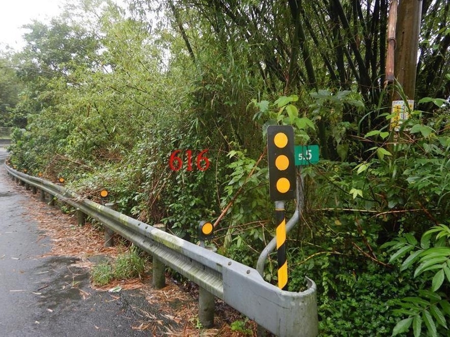 照片三