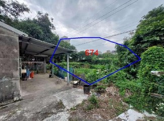 照片一
