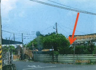 照片二