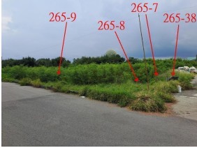 照片一
